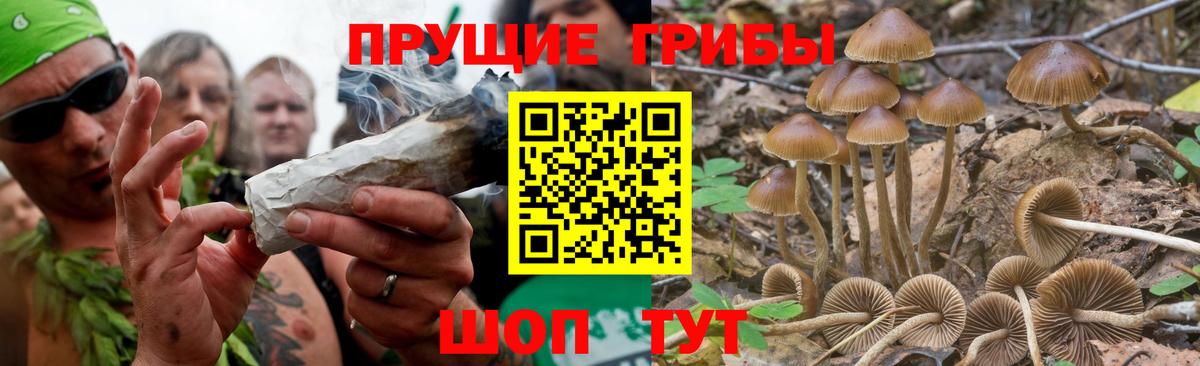 Калининград  Псилоцибиновые грибы Magic Shrooms  Вход с VPN 
