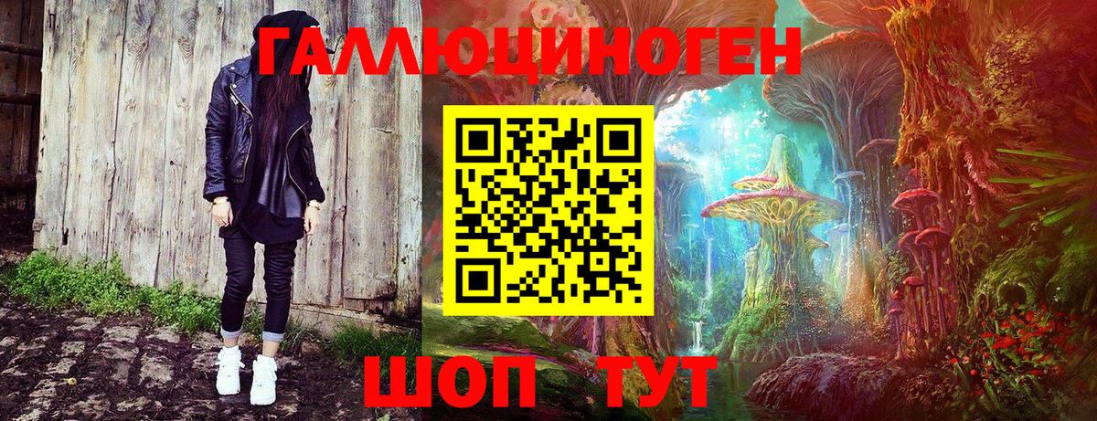 Галлюциногенные грибы мухоморы Калининград